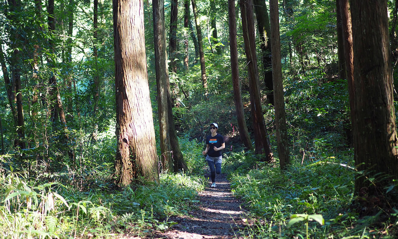 〈愛宕山〉でトレイルランニング。の画像